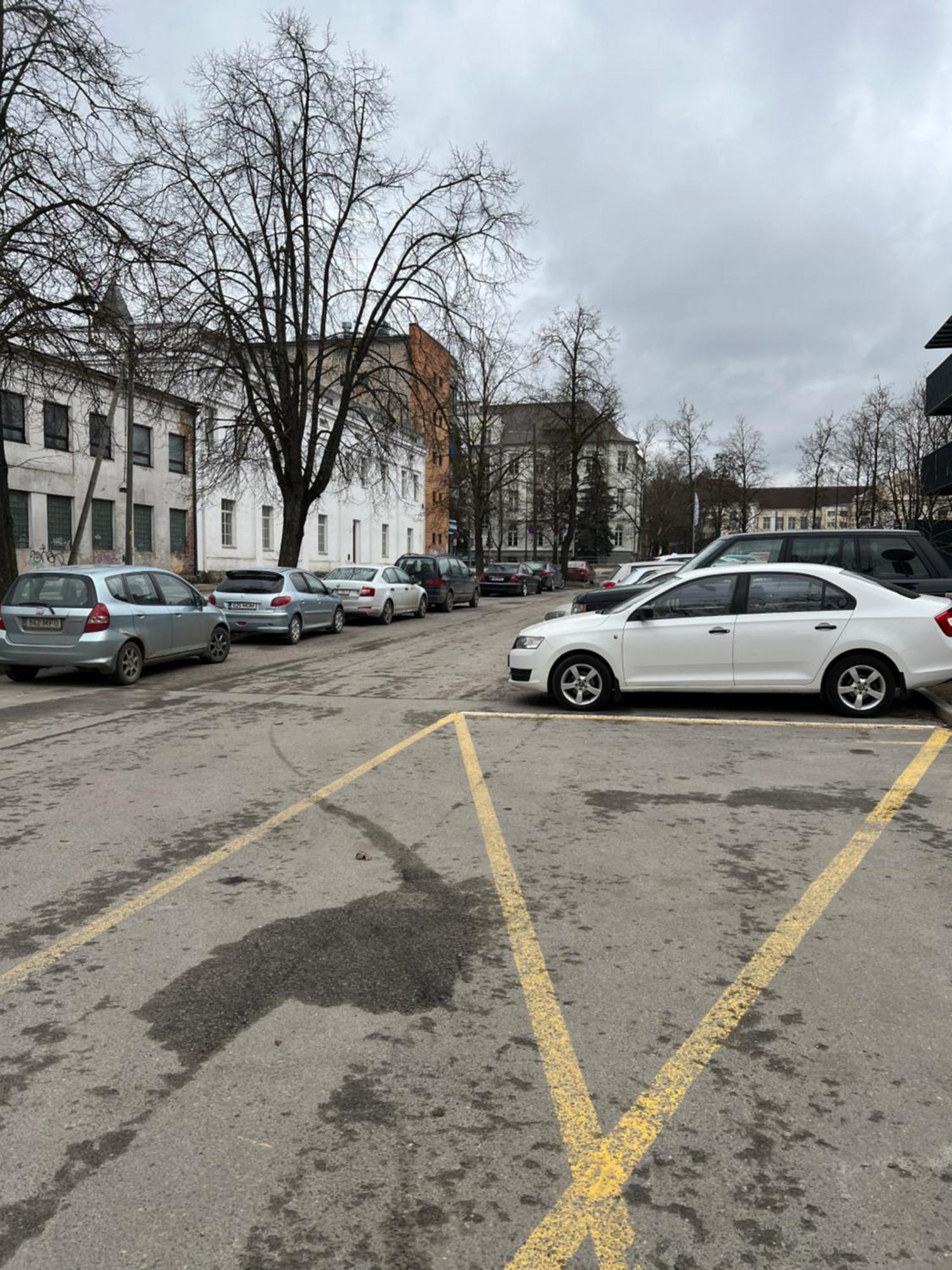 Korter Riia 22 Tartu Dış mekan fotoğraf